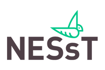 NESsT