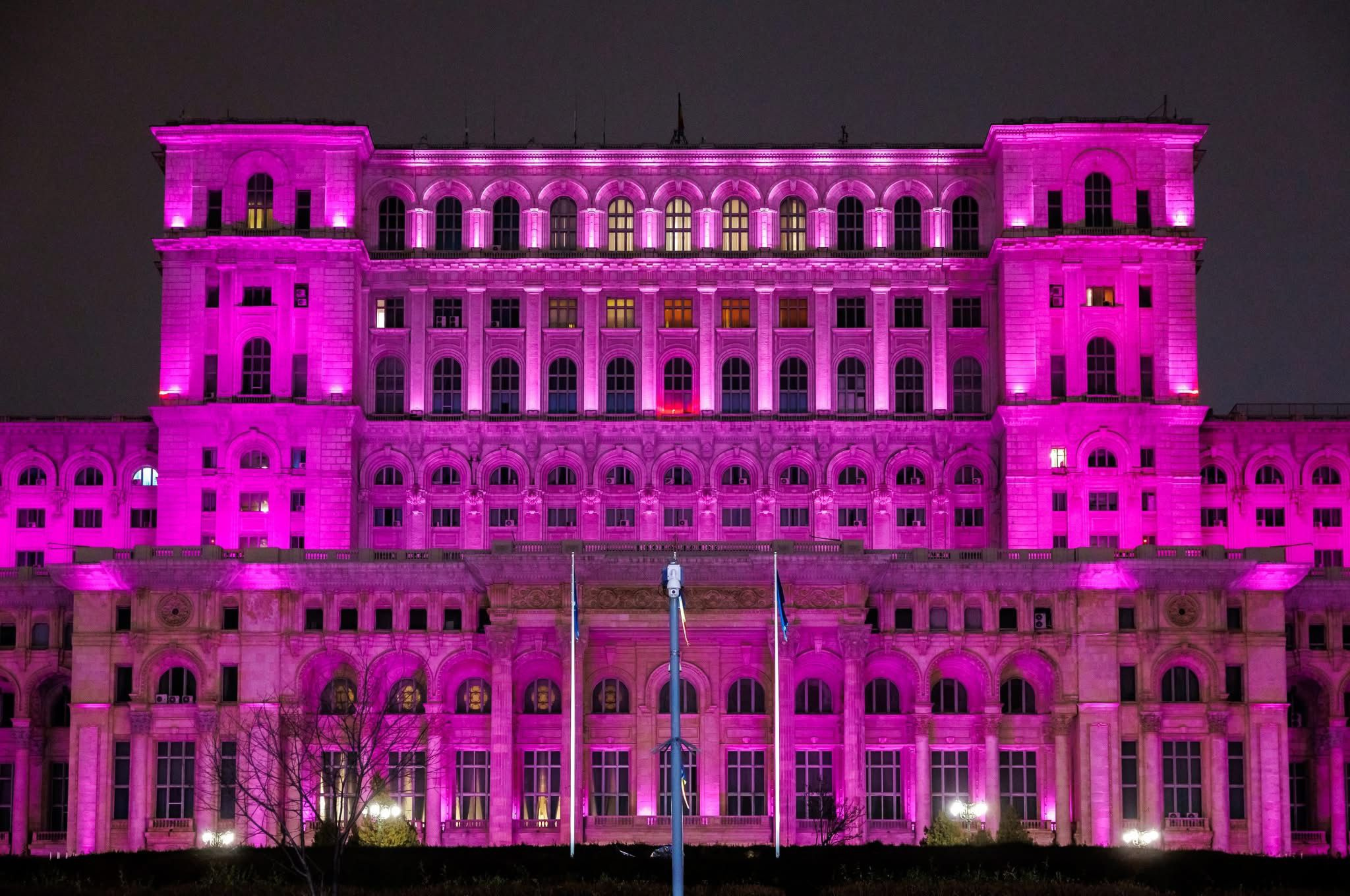 Purple Night Romania 2024: A Record-Breaking Celebration of Inclusion
